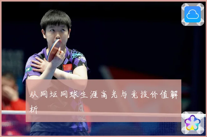 从网坛网球生涯高光与竞技价值解析