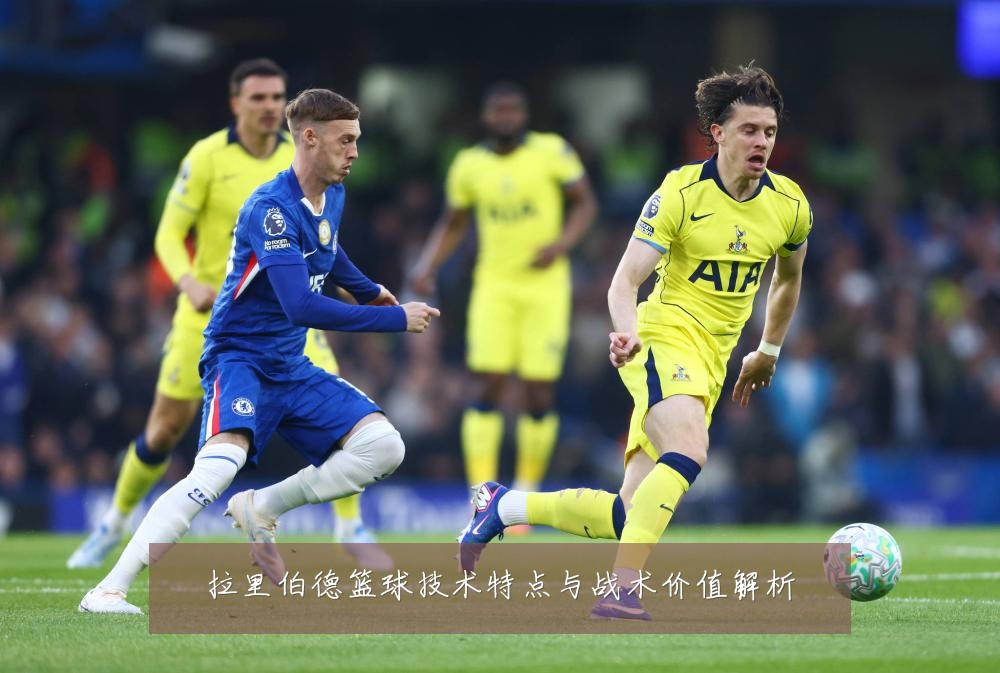 拉里伯德篮球技术特点与战术价值解析